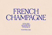 Stylish Aesthetic Typeface, a Sans Serif Font by Nicky Laatz (Thumbnail 9 of 29)