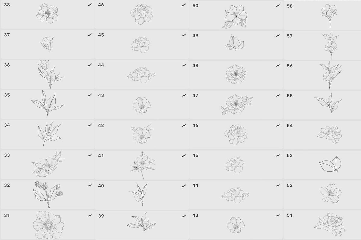 Procreate flower stamp, peony brush, a Brush Add-On by AnnaPolitmerskaja (Photo 4 of 5)