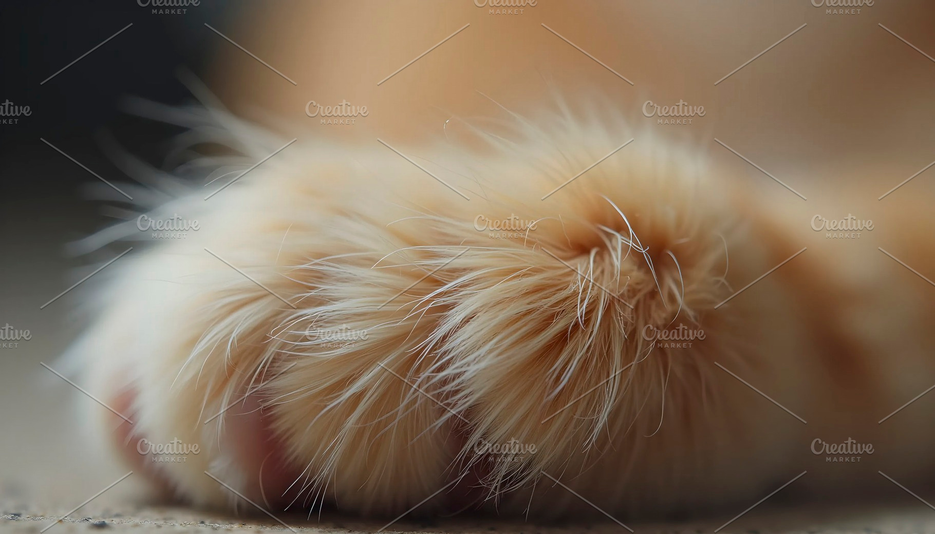 Cat Fur Macro Realistic Background, a Photo by LOGOCREATIVE