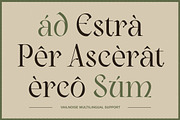 Vailnoise - Classic Vintage Serif, a Serif Font by Typia Nesia (Thumbnail 4 of 16)