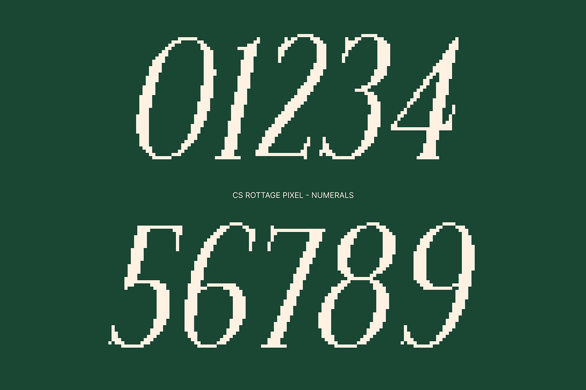 CS Rottage Pixel, a Serif Font by Craft Supply Co. (Photo 4 of 8)