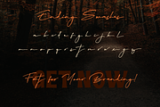 Migratory, a Font by Dumadistyle (Thumbnail 9 of 11)