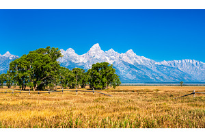 Grand Teton range behind grasslands, a Nature Photo by Leonid Andronov