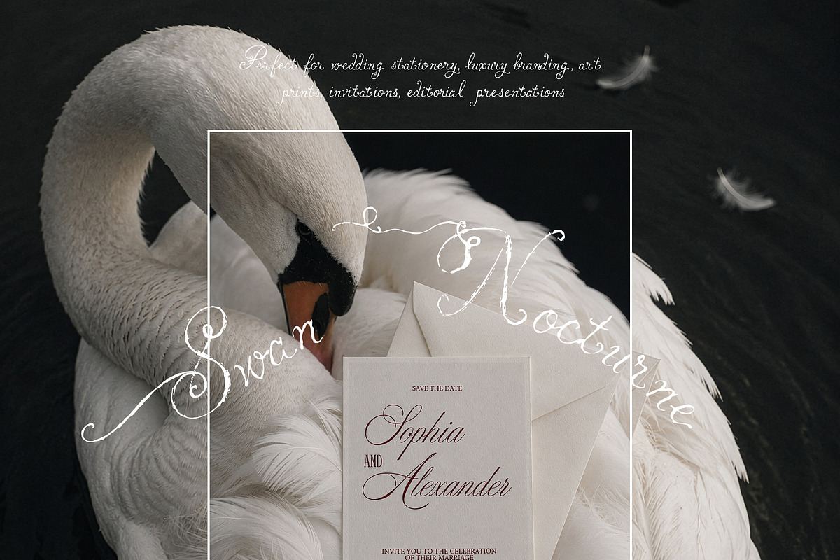 Swan Nocturne Editorial Mockups, an Advertising Mockup by Muse Mockups (Photo 2 of 12)