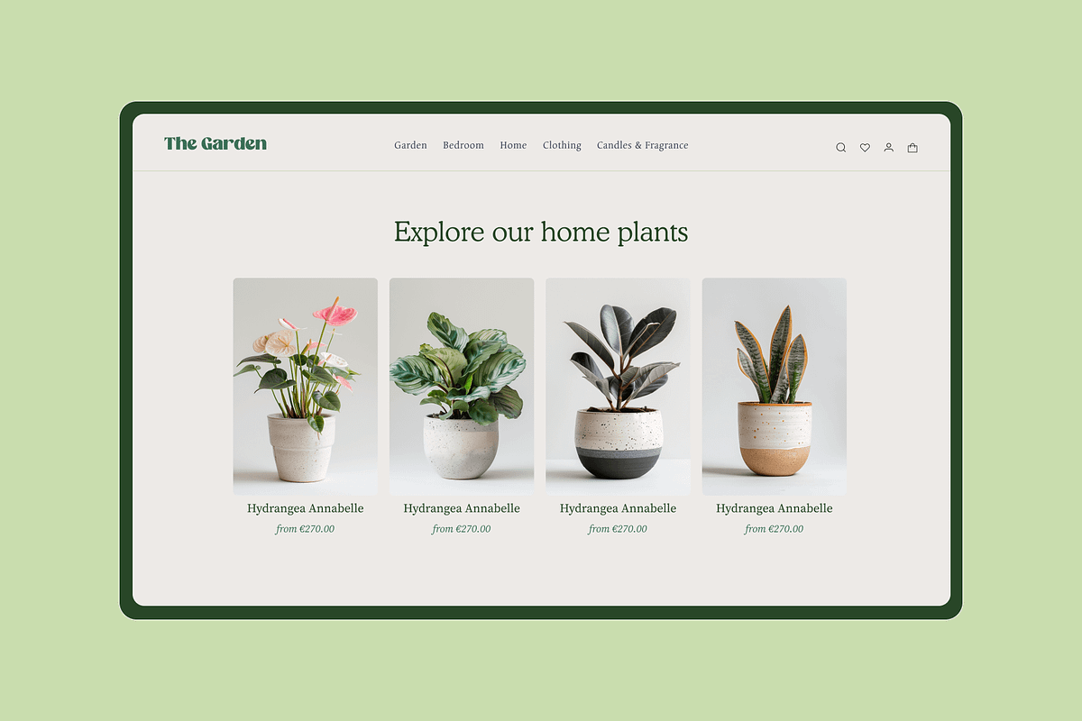 Home Plants, a Nature Photo by Typedreams.site (Photo 7 of 9)