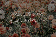 Evelin Bohemy, a Script Font by JamalCreativeStudio (Thumbnail 11 of 11)