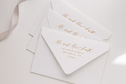 La Roche Font Duo, a Script Font by Calamar Studio (Thumbnail 15 of 19)