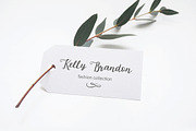 Michelle script with extras, a Script Font by Designwork (Thumbnail 8 of 14)