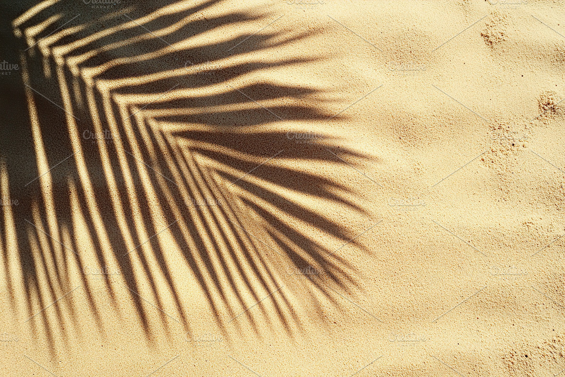 Palm leaf shadow on soft beach sand creates a serene coastal atmosphere, a Nature Photo by AlyaAnd
