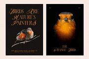 Never Things Elegant & Premium Serif, a Serif Font by Graphicxell (Thumbnail 9 of 10)