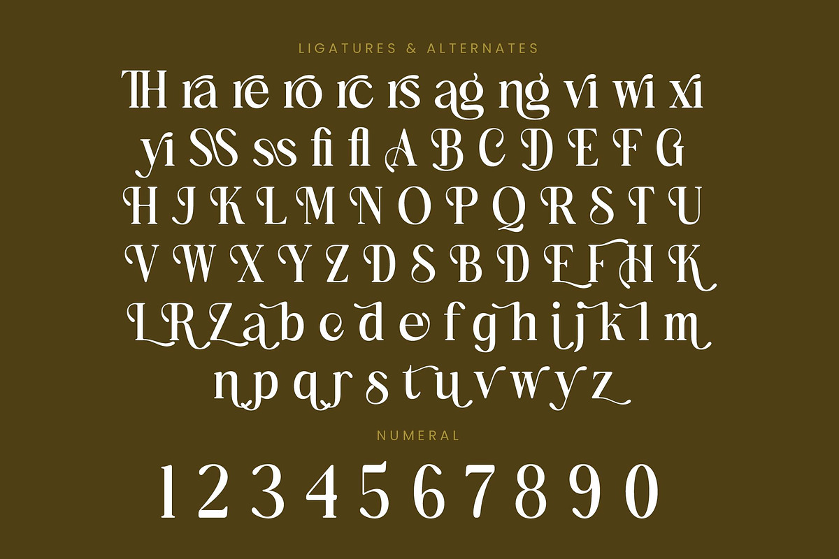 Bulings Nature Vintage Serif, a Serif Font by timelesstype.co (Photo 19 of 20)