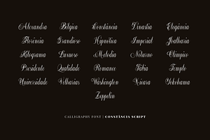 Constncia Script Family