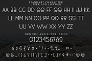 Quick, a Sans Serif Font by FreshTypeINK (Thumbnail 3 of 8)