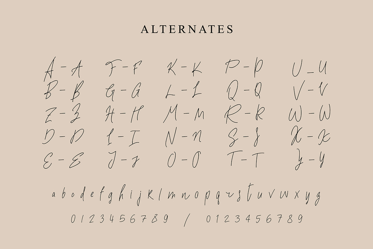 Safielle – Luxury Signature Script, a Script Font by chekart (Photo 4 of 12)