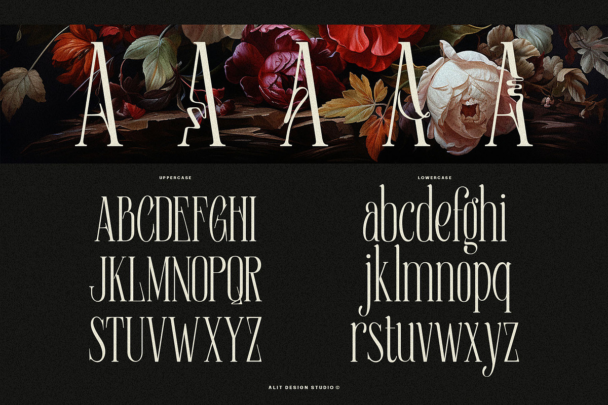 Euromunche Typeface, a Serif Font by alit design (Photo 5 of 15)