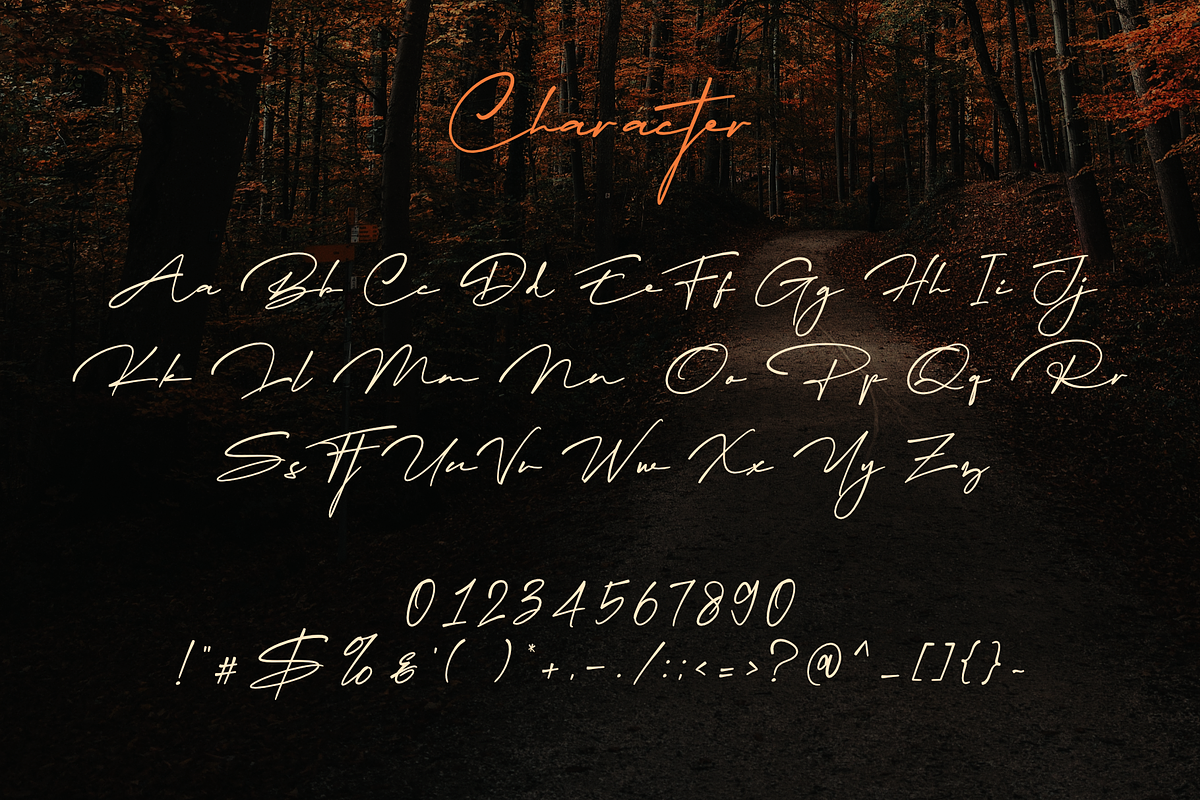 Migratory, a Font by Dumadistyle (Photo 8 of 11)