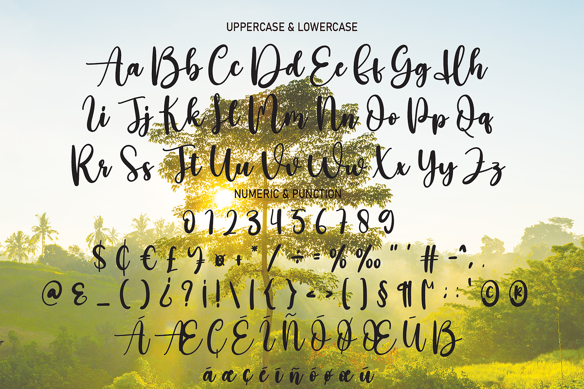 Paradise | Script Font, a Script Font by Scratchones (Photo 5 of 8)