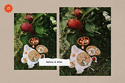 8 Jardin Lightroom Presets, a Preset Add-On by SHOOM HOUSE (Thumbnail 10 of 15)