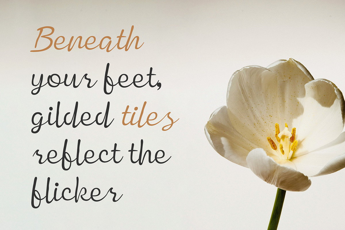 CS Mercy – Script Font, a Script Font by Craft Supply Co. (Photo 2 of 8)