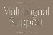 Lisandra A Modern Font Serif, a Serif Font by Storytype Studio (Thumbnail 12 of 15)