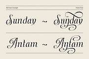Dh Finola - 7 Elegant Serif Fonts, a Serif Font by Dharmas Foundry (Thumbnail 7 of 14)