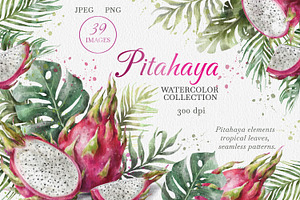 Dragon Fruit Watercolor. Pitahaya., a Decorative Illustration by VetaDesign