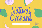 Chiller Sumer Bold Handwritten, a Script Font by Letterena Studios Script (Thumbnail 7 of 15)