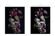 Modern + Moody Lightroom Presets, an Action Add-On by Foto Rx Co. (Thumbnail 2 of 17)