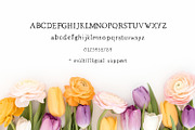 The Market Duo - Rustic Font, a Font by Beck McCormick (Thumbnail 19 of 19)