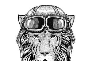 Wild Lion Wearing Leather Helmet Aviator, Biker, Motorcycle Hand Drawn Illustration For Tattoo, Emblem, Badge, Logo, Patch