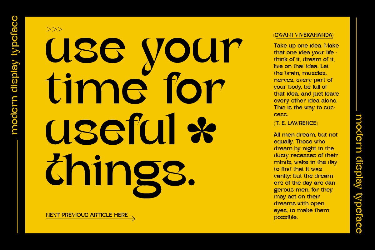 Vestige Grotesk Modern Typeface, a Serif Font by Ronny Studio (Photo 5 of 13)