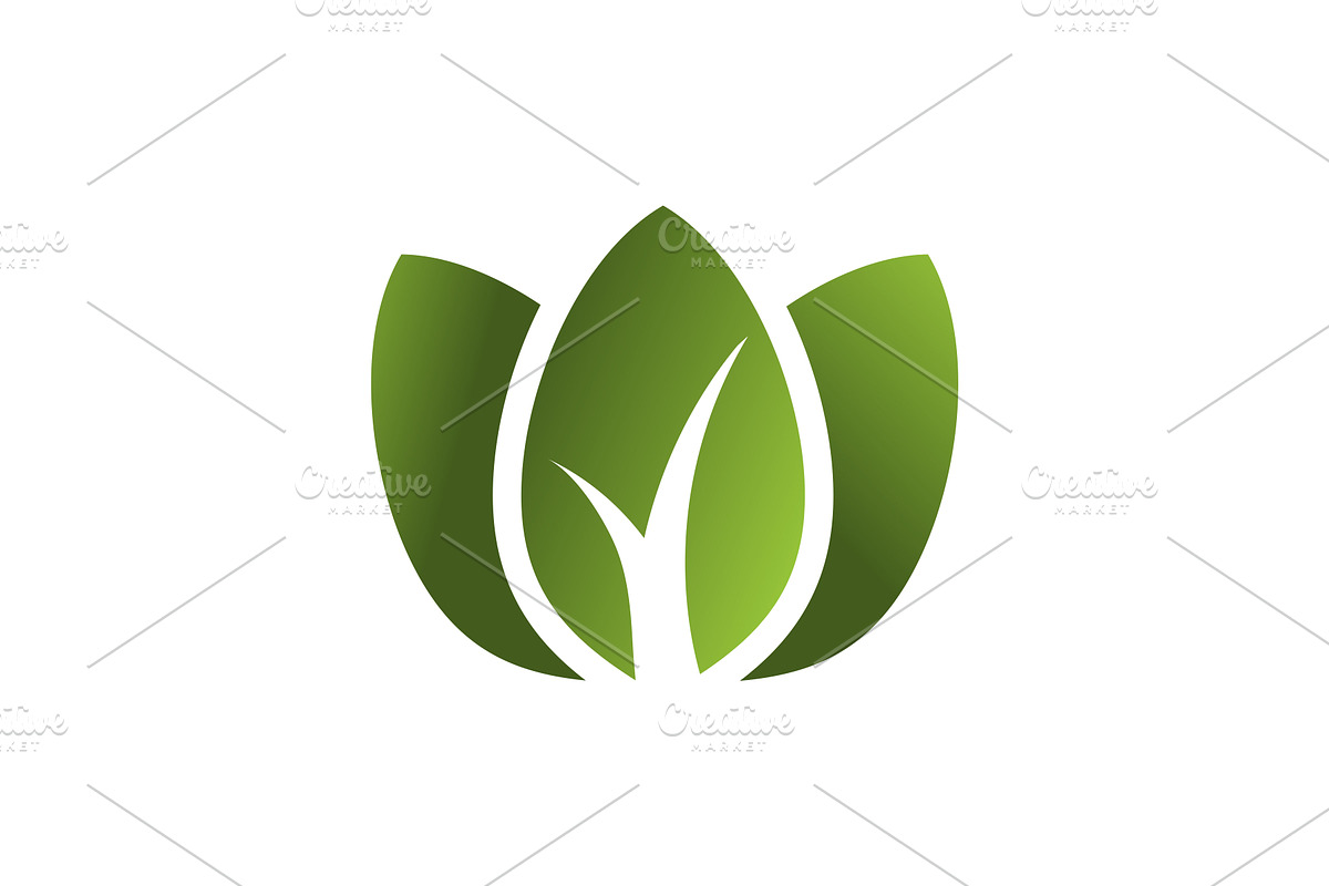 Green Leaf Logo, a Branding & Logo Template by GenesisCreativeCo (Photo 2 of 2)