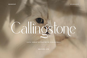 Font Bundles | Serif and Sans Serif, a Sans Serif Font by Heinzel Std (Thumbnail 3 of 9)