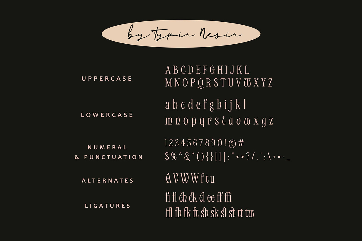 Quitewave Serif, a Serif Font by Typia Nesia (Photo 10 of 10)