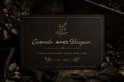 Cenville Edition, a Script Font by StudioRhd (Thumbnail 4 of 8)