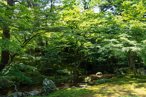 River and forest serenity in Kenroku-en Garden, Kanazawa, Japan, a Nature Photo by GoodGoods