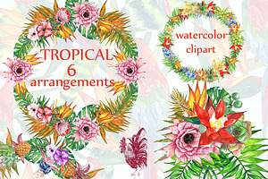 Tropic Watercolor Clip Art