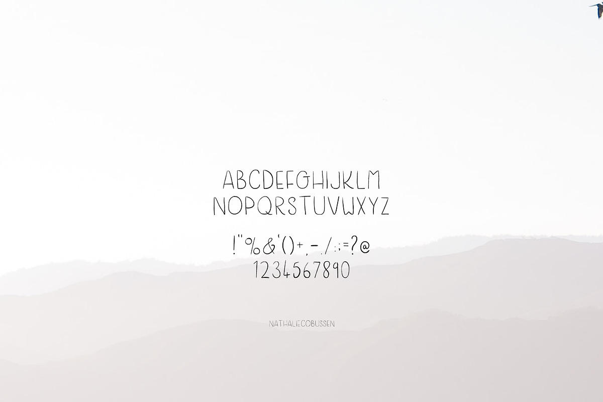 Blue Bird a Handwritten Font preview 3