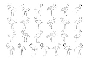 50 Flamingo Procreate Stamps