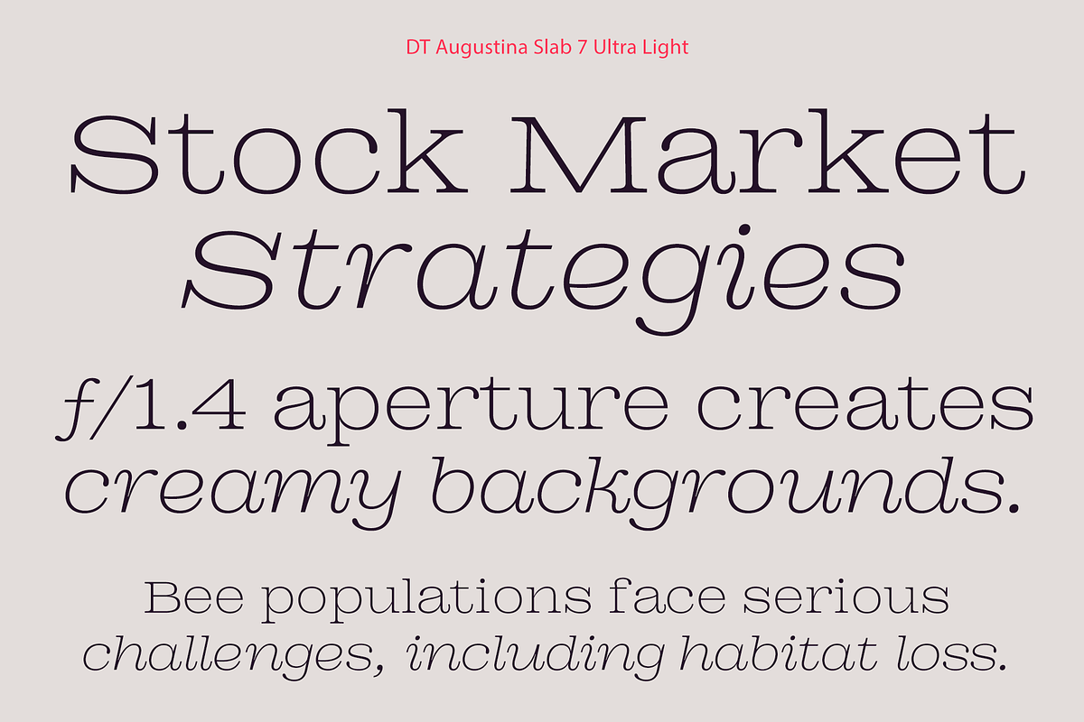 DT Augustina Slab 7 Subfamily, a Slab Serif Font by Deveze Type Foundry (Photo 4 of 31)