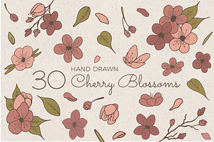 Hand Sketched Cherry Blossoms