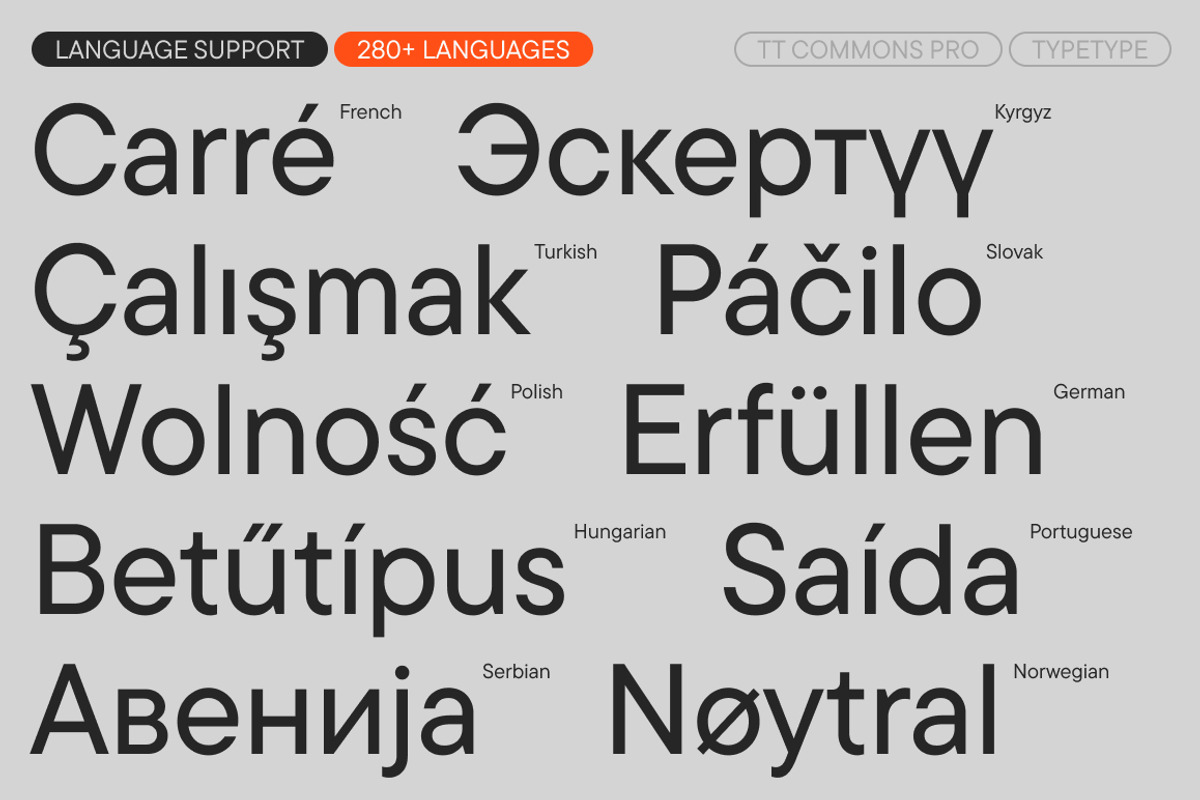 TT Commons Pro Basic, a Sans Serif Font by TypeType (Photo 7 of 15)