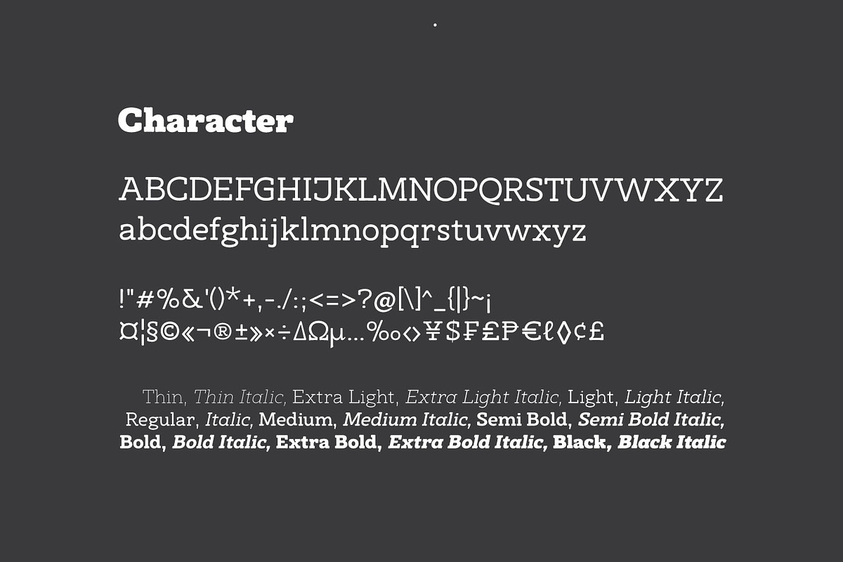 Arcanite - Soft Slab Serif Font Fami, a Slab Serif Font by Ridha-38.lineart (Photo 2 of 9)