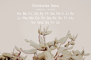 Clockwise sans serif font, a Sans Serif Font by Ana's Fonts (Thumbnail 6 of 12)