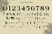 Modern Elegant Serif - Bevola, a Serif Font by RagamKata (Thumbnail 9 of 10)