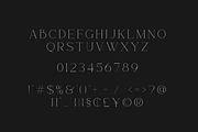 Rotten - Modern & Elegant Serif Font, a Serif Font by Pen Culture (Thumbnail 10 of 13)