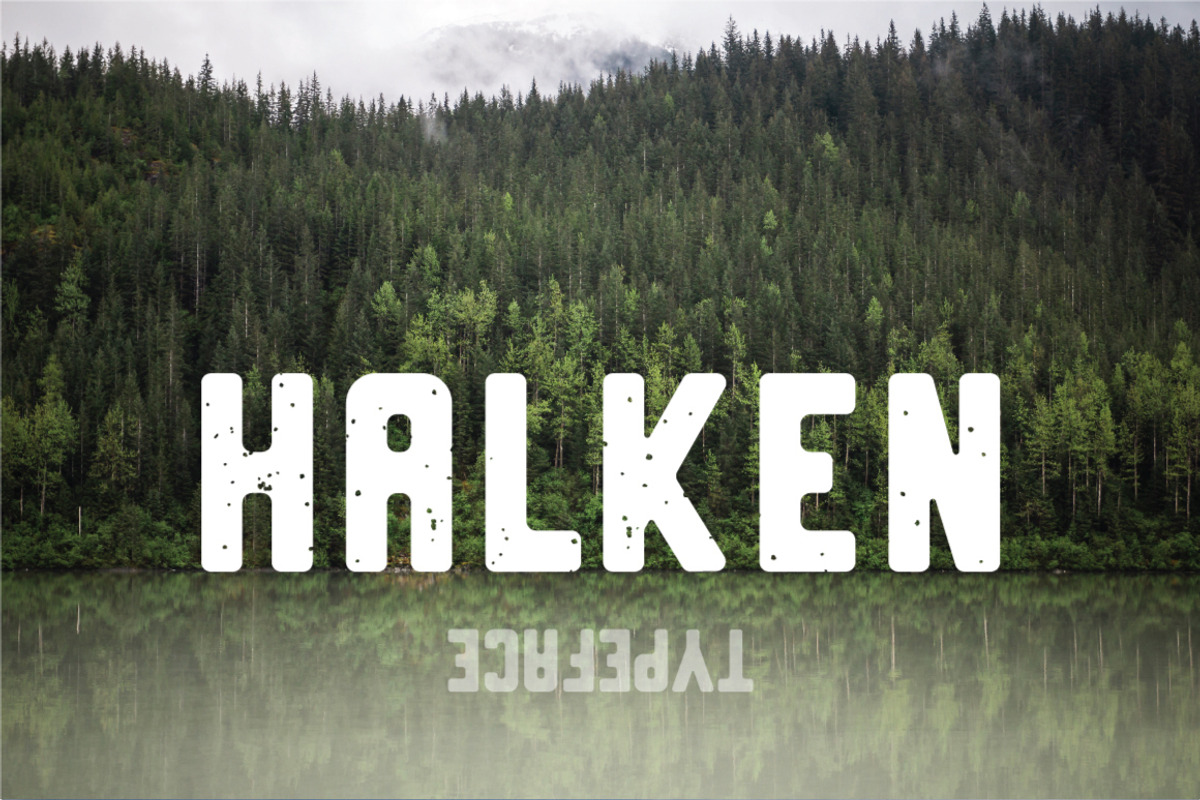Typeface bundle | 56 Font Styles, a Sans Serif Font by MikeHill (Photo 8 of 20)
