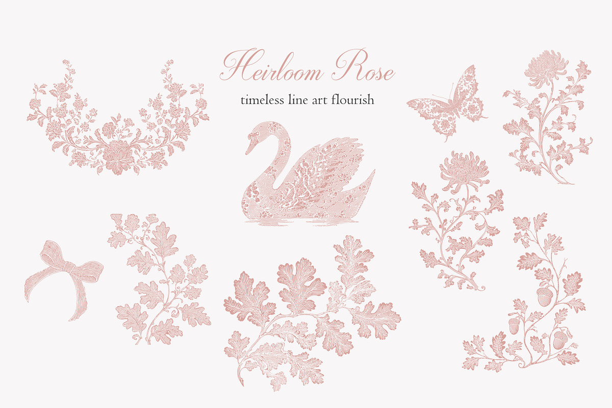 Vintage Floral Bundle, an Object Illustration by studioequinox (Photo 5 of 65)