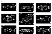 30 sketches with fishes and sea food, a Food Illustration by Anna Violet (Thumbnail 2 of 6)