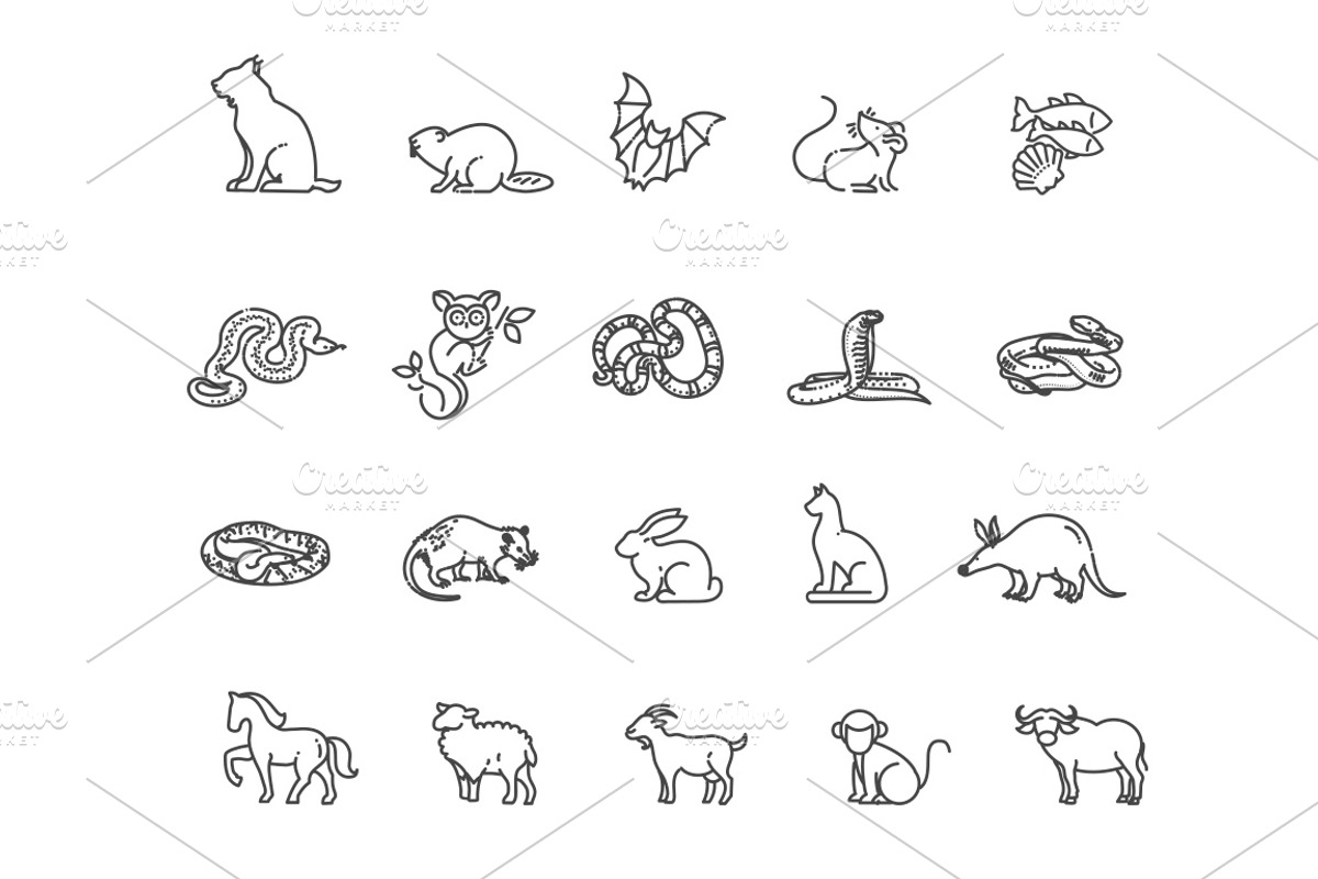 Line Animals Icons, an Animal Illustration by Tettygreen (Photo 3 of 3)